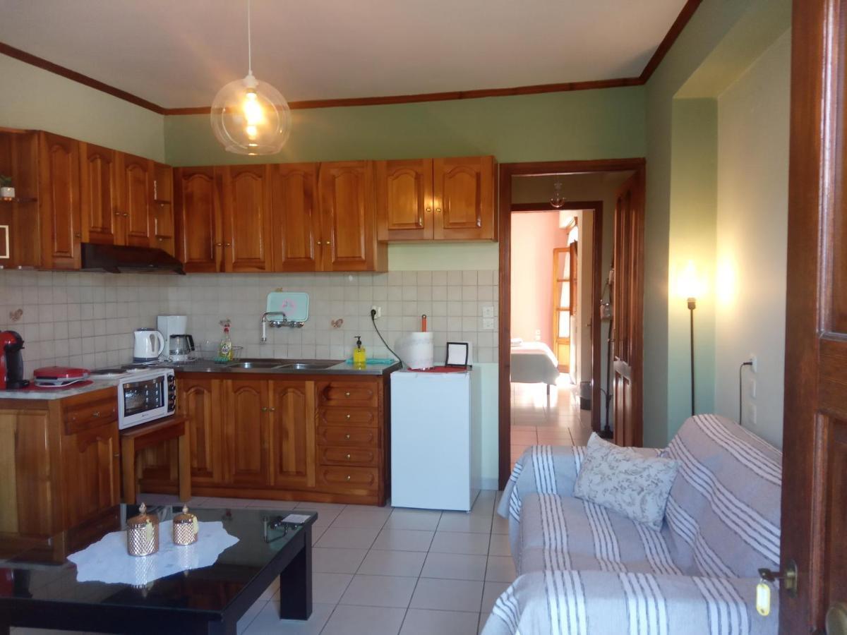 Small Town Apartment Konitsa Luaran gambar