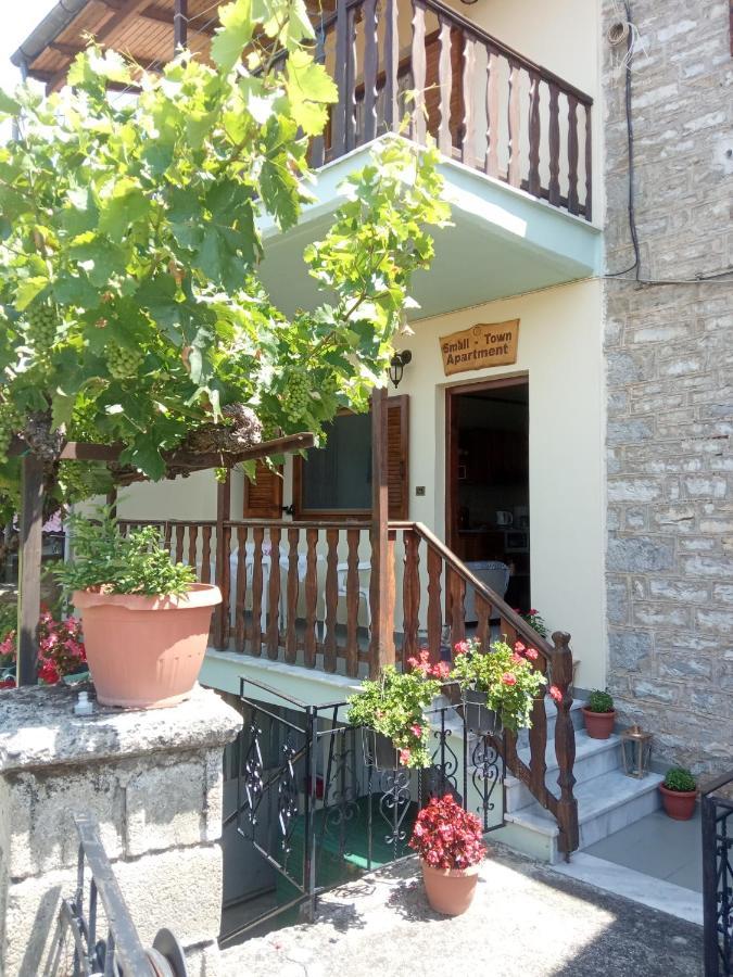 Small Town Apartment Konitsa Luaran gambar