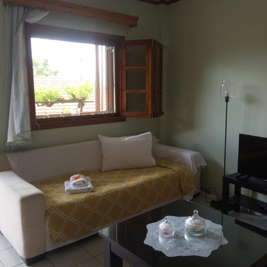 Small Town Apartment Konitsa Luaran gambar
